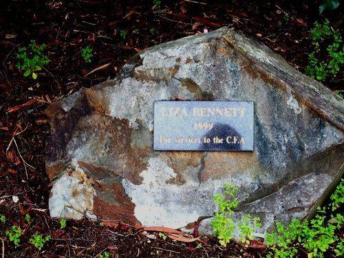 Liza Bennett Plaque : March 2014
