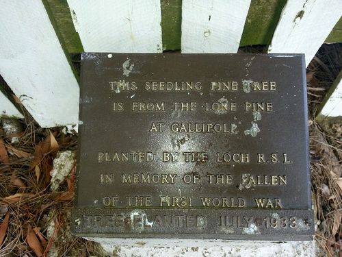 Gallipoli Pine Plaque : March 2014 Gallipoli Pine Plaque : March 2014