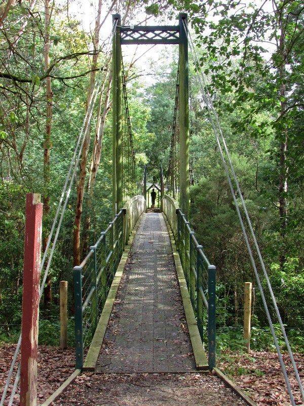 10-September-2017 [Sandra Brown] 