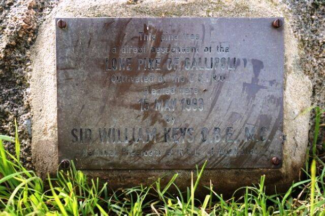 17-March-2022 (Chris McLaughlin) 17-March-2022 (Chris McLaughlin)