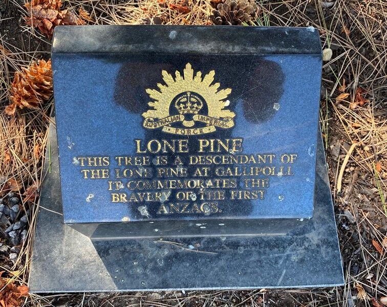 16-March-2023 16-March-2023