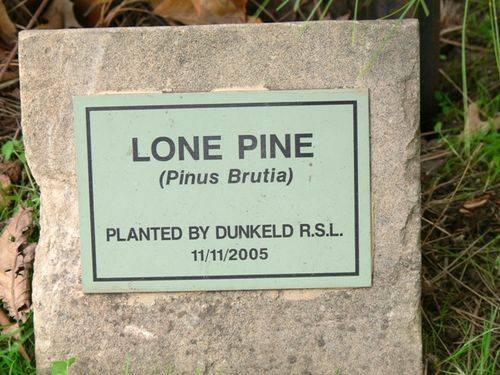 Lone Pine : 11-May-2013 Lone Pine : 11-May-2013