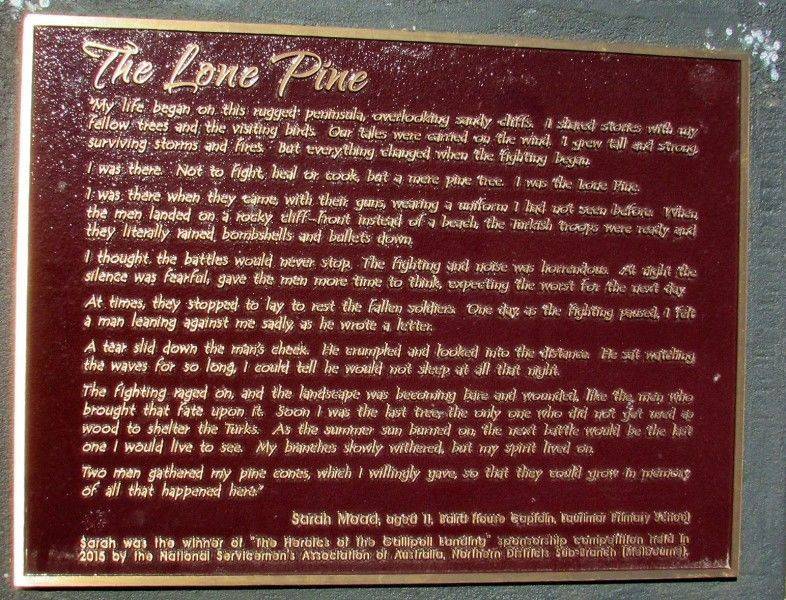 24-February-2019 24-February-2019