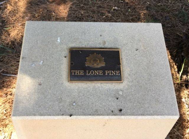 21-April-2019 21-April-2019