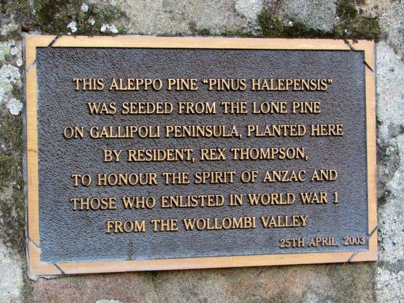 30-June-2019 30-June-2019