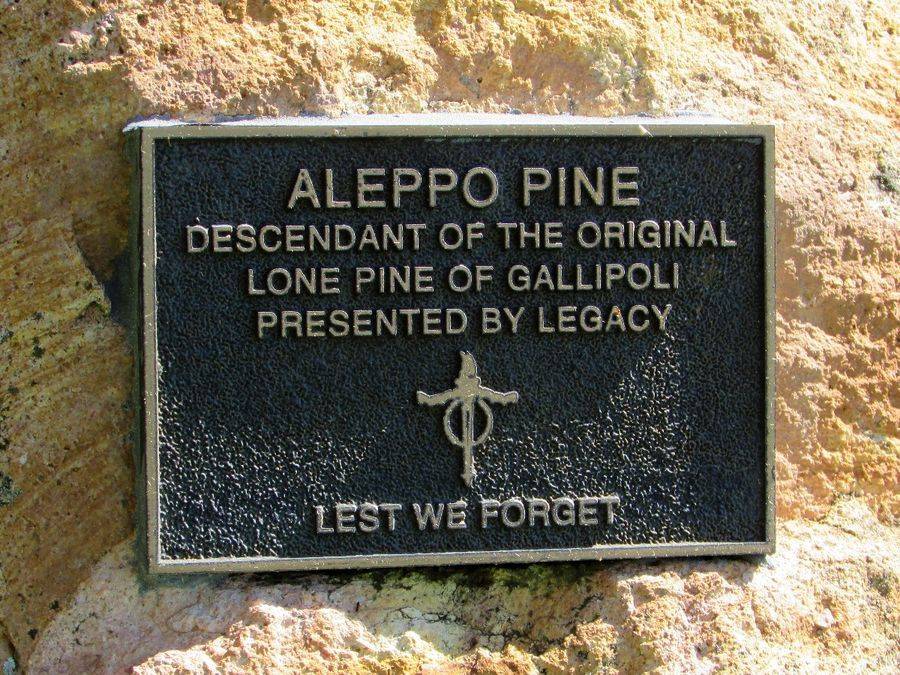 19-August-2019 (Sandra Brown)