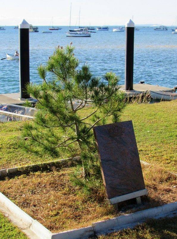 19-August-2019 19-August-2019