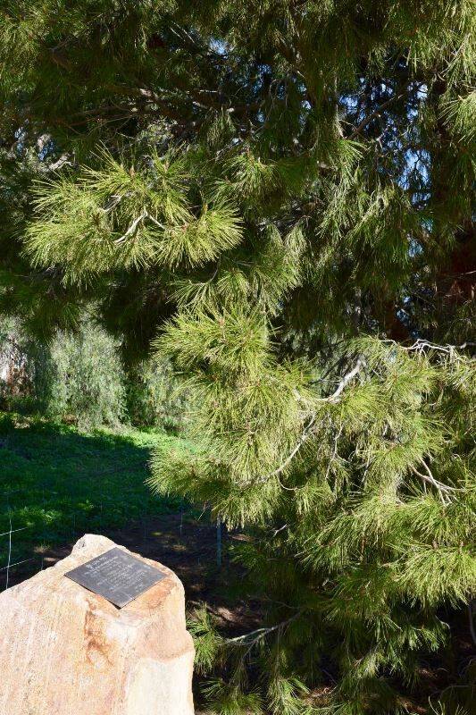 08-June-2020 08-June-2020