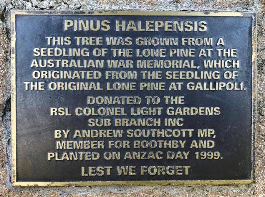 19-November-2020 19-November-2020