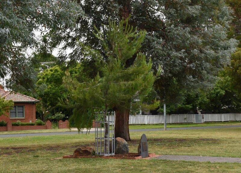 16-December-2020 (Henry Moulds) 16-December-2020 (Henry Moulds)