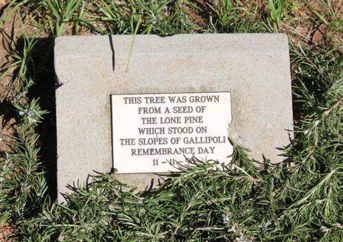 Lone Pine Memorial : 06-May-2012