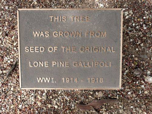 Lone Pine Memorial : 26-November-2012 Lone Pine Memorial : 26-November-2012