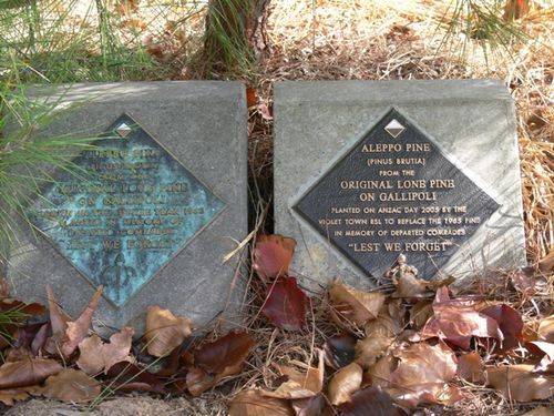 Lone Pine : 15-May-2013