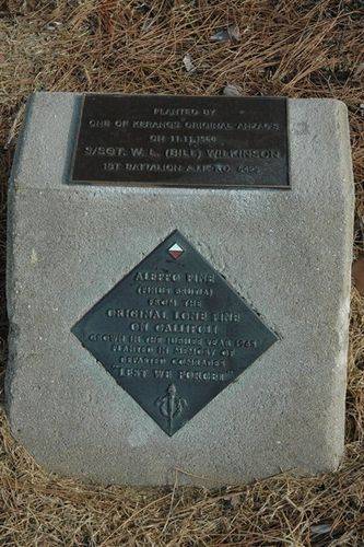 Lone Pine : 08-June-2013