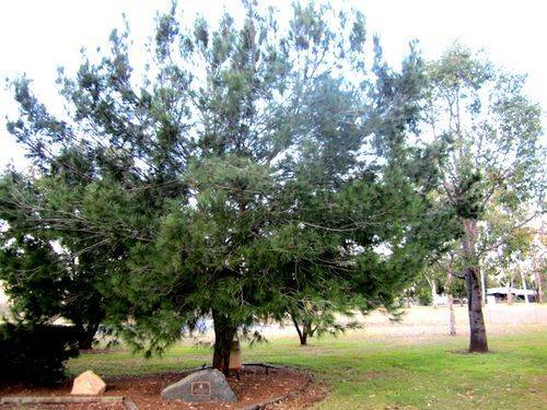 Lone Pine Memorial : 21-08-2012 Lone Pine Memorial : 21-08-2012