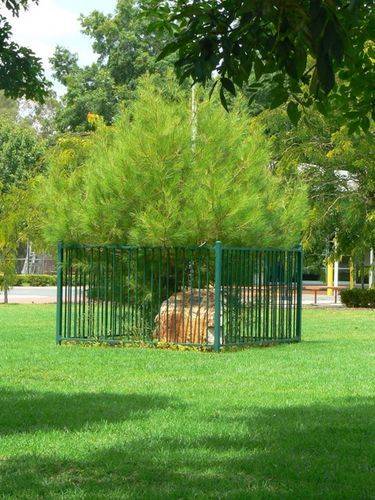 Lone Pine Memorial : 27-March-2006