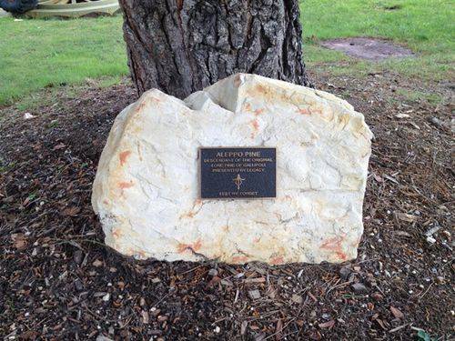 Lone Pine Inscription : 19-09-2013 Lone Pine Inscription : 19-09-2013