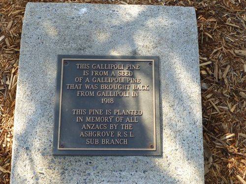 Gallipoli Pine Plaque : 28-05-2014