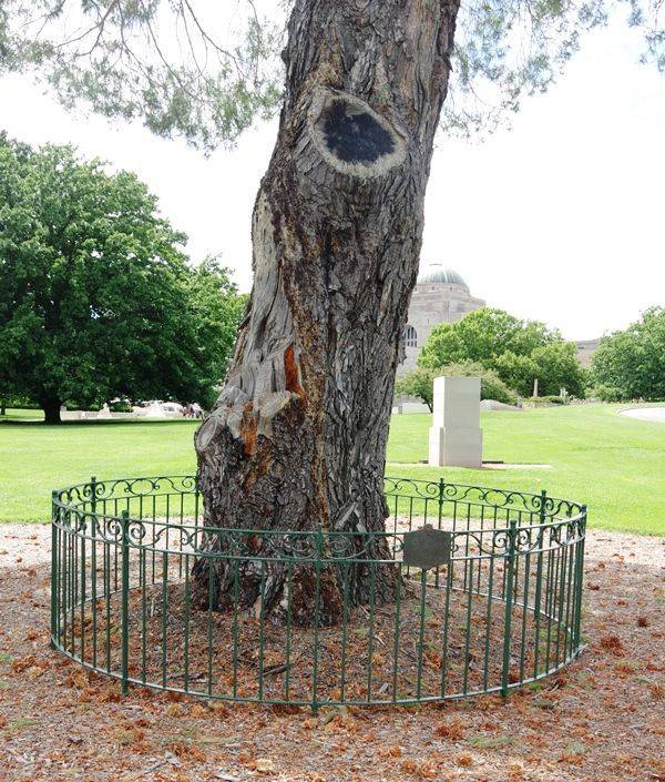 30-January-2015 30-January-2015