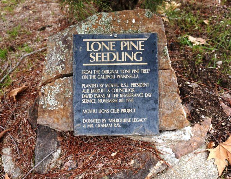 01-June-2015 01-June-2015