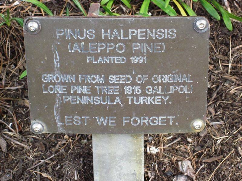 11-June-2015 11-June-2015