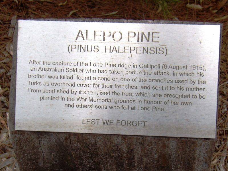 19-March-2017 19-March-2017