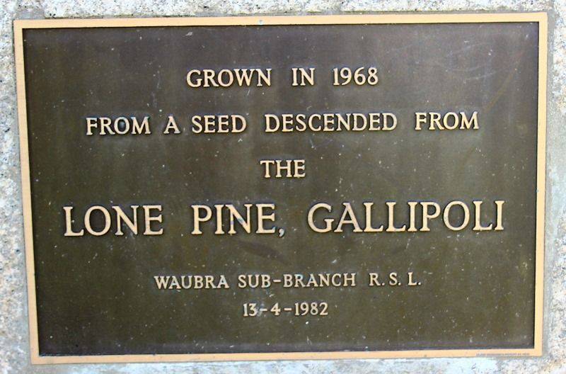 19-September-2017 19-September-2017