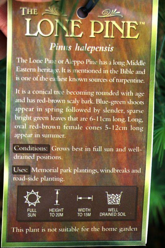 07-July-2017 07-July-2017