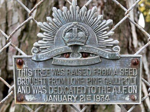 Lone Pine Memorial : 14-June-2011 Lone Pine Memorial : 14-June-2011