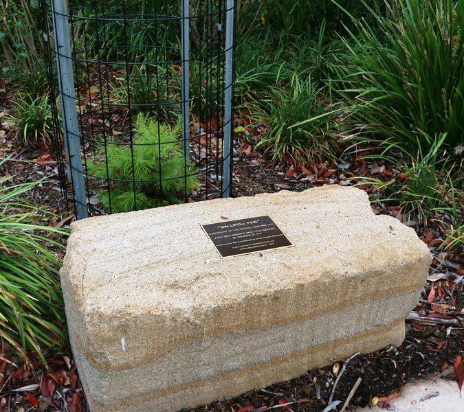 03-November-2018 03-November-2018