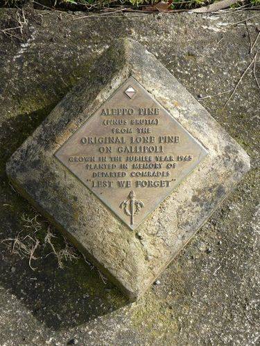 Lone Pine Memorial : 25-August-2011