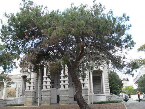 Lone Pine Memorial : 7-September-2011