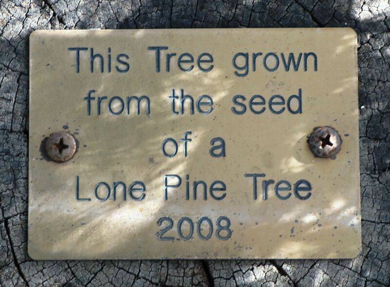 28-June-2020 28-June-2020