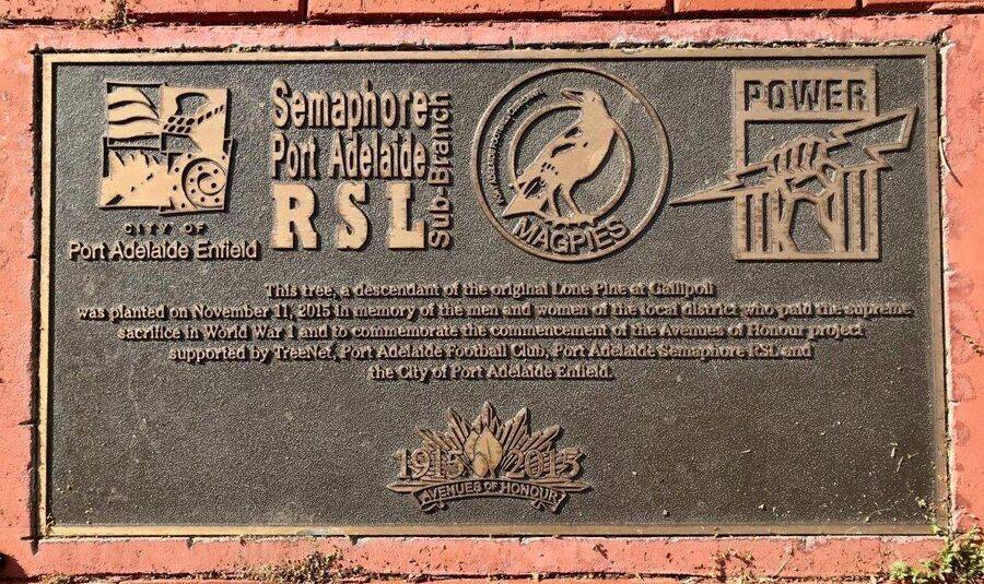 12-January-2021 12-January-2021