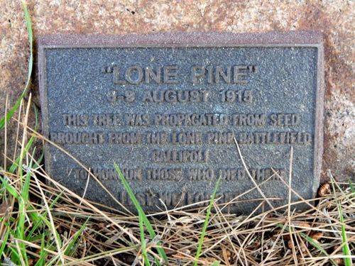 Lone Pine Memorial : 02-October-2011
