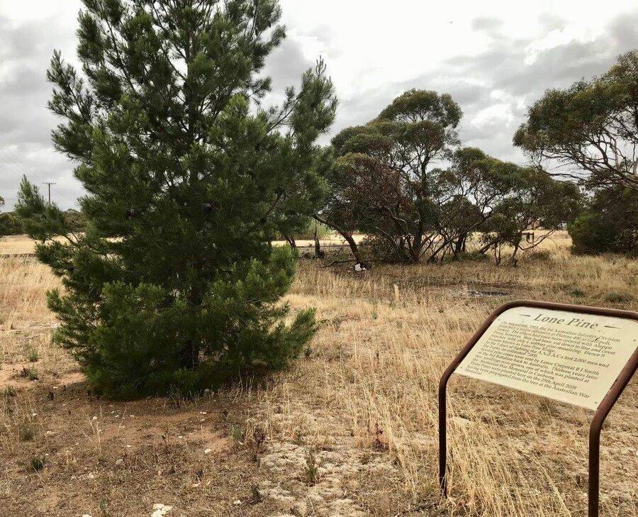 08-March-2021 08-March-2021