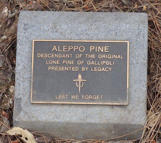 22-November-2014 22-November-2014