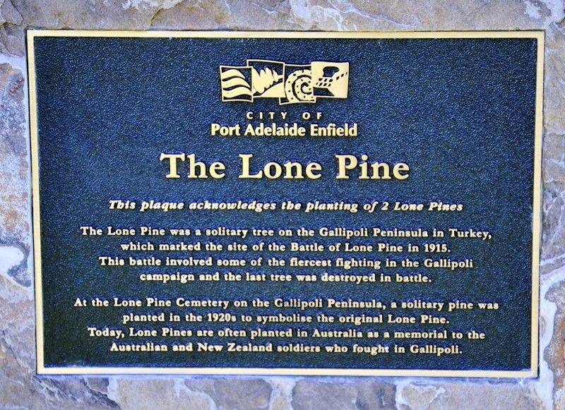 13-August-2016 13-August-2016