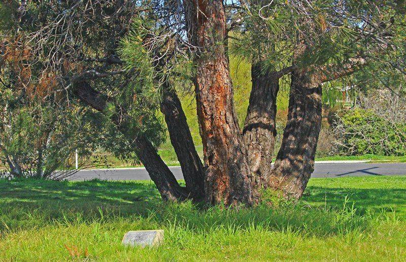 19-September-2017 [Neil Follett]