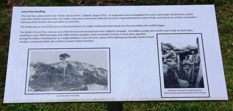 15-February-2021 (Russell Byers) 15-February-2021 (Russell Byers)