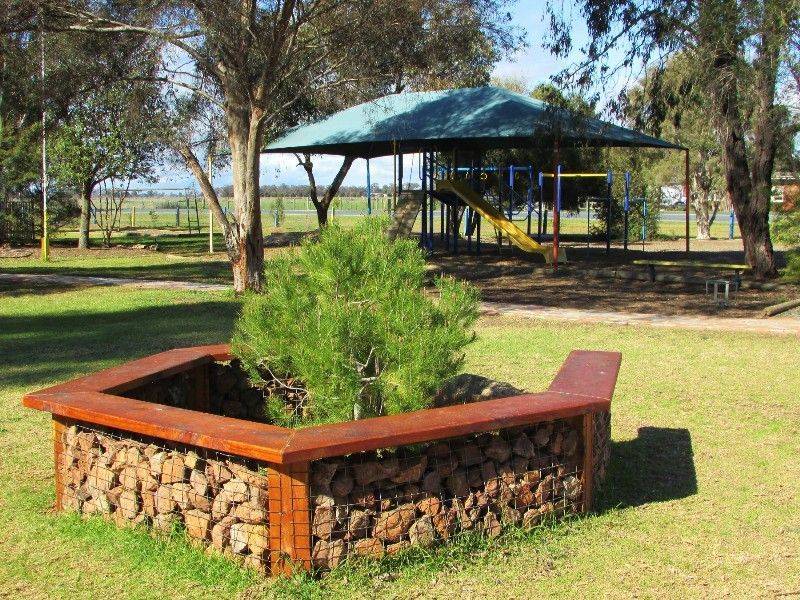 Lone Pine+ Wall :07-August-2015 Lone Pine+ Wall :07-August-2015