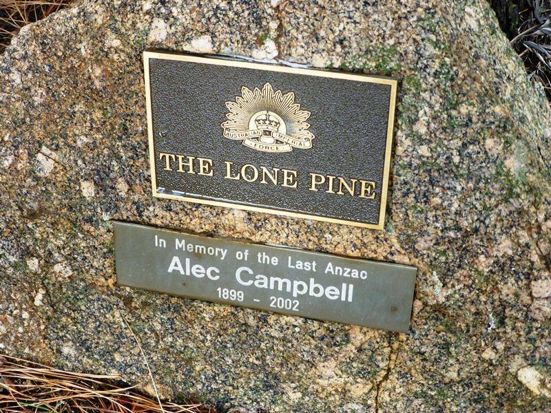 Inscription: 18-March-2016 Inscription: 18-March-2016