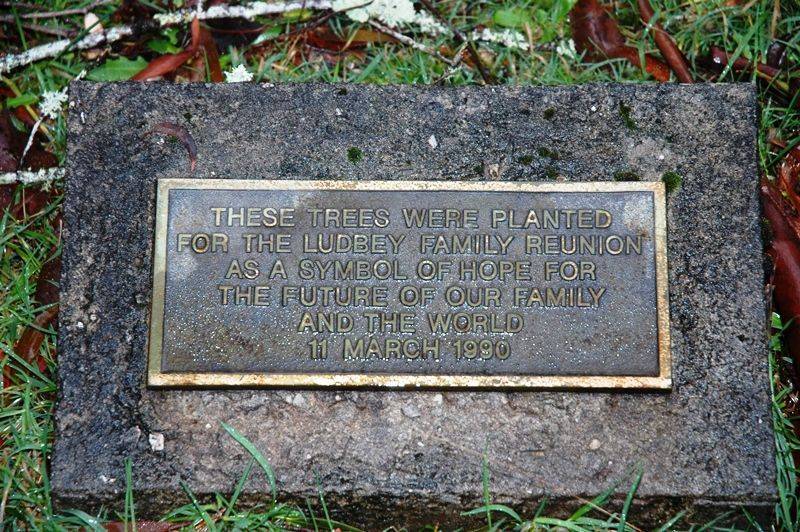 11-June-2016 11-June-2016