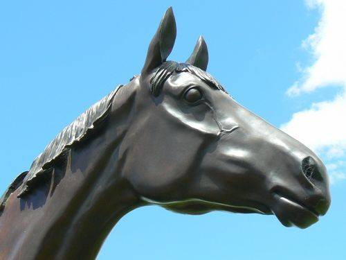 Makybe Diva Makybe Diva