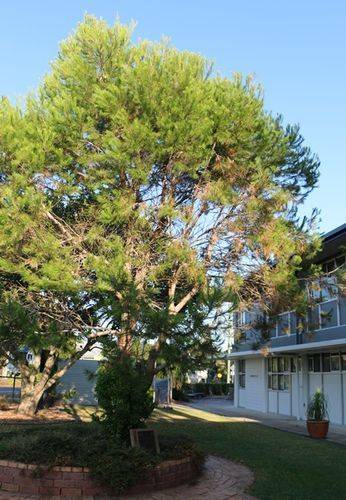 27-December-2013 27-December-2013