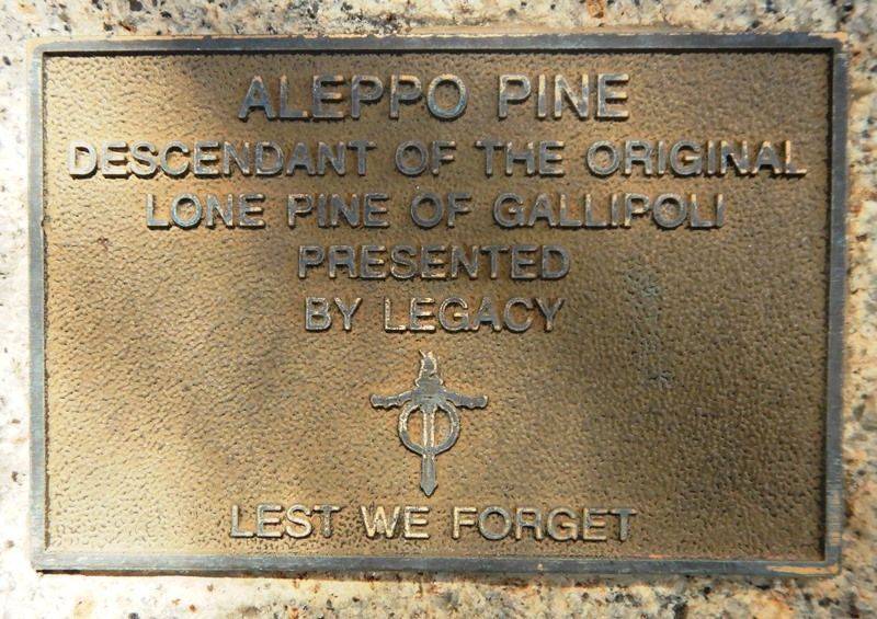 11-November-2019 11-November-2019