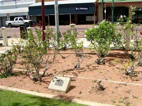 Mareeba Air Crash Mareeba Air Crash