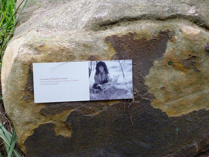 Plaque 2 : 16-March-2016
