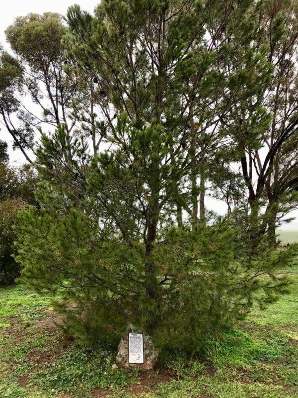 06-August-2020 06-August-2020