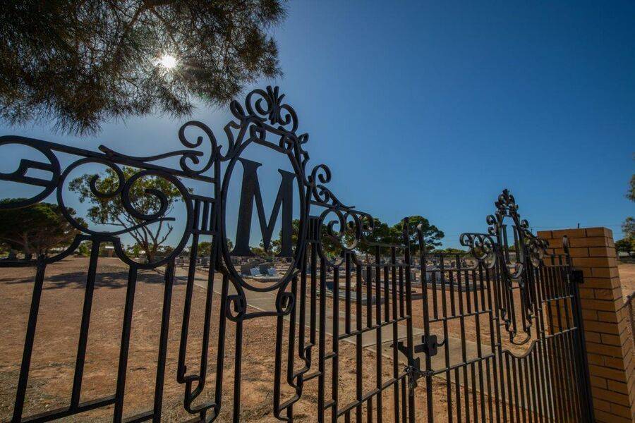 23-November-2020 23-November-2020